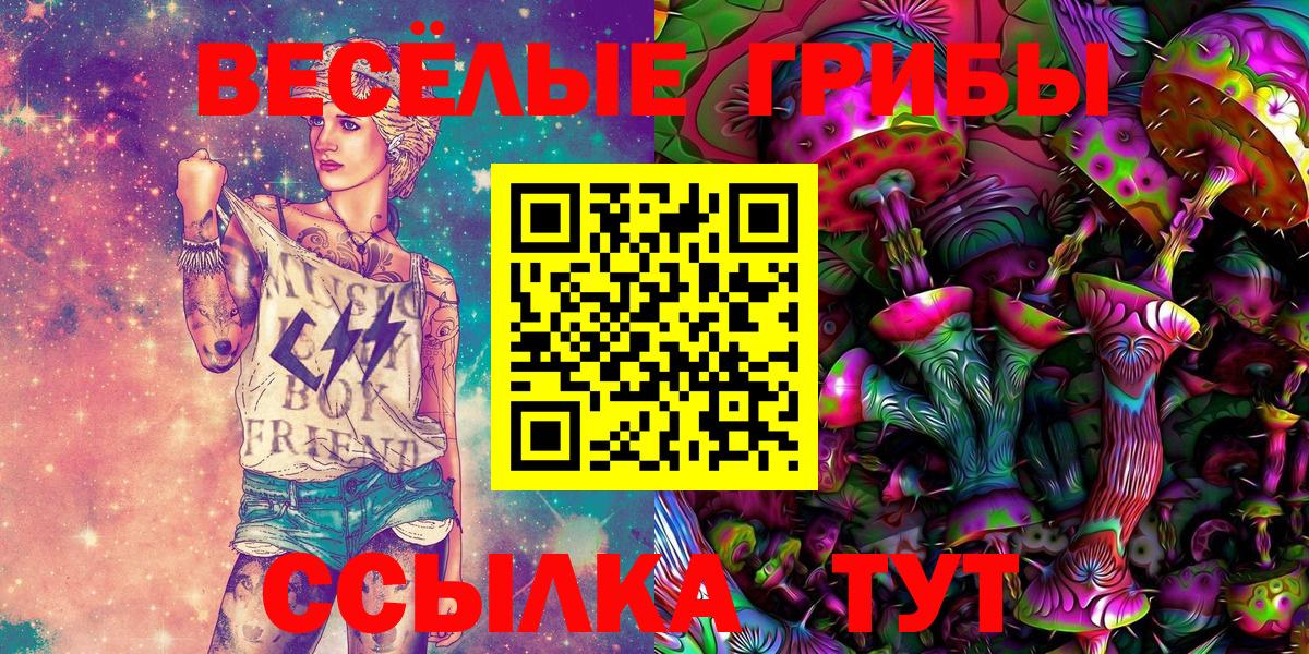 Раменское  Галлюциногенные грибы Psilocybine cubensis  Галлюциногенные грибы Psilocybine cubensis  Вход с VPN 
